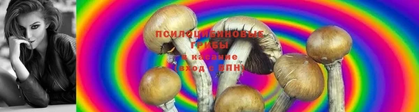 спиды Кинешма