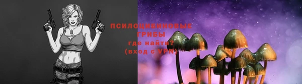 сатива Киреевск