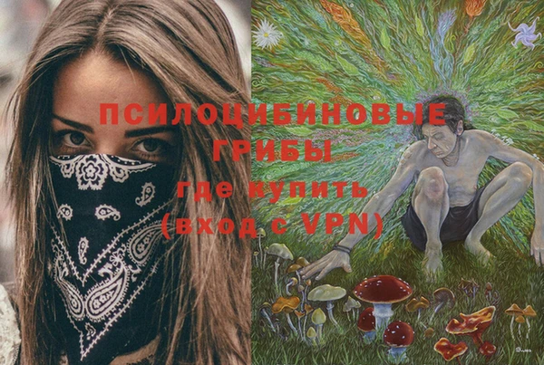 спиды Кинешма